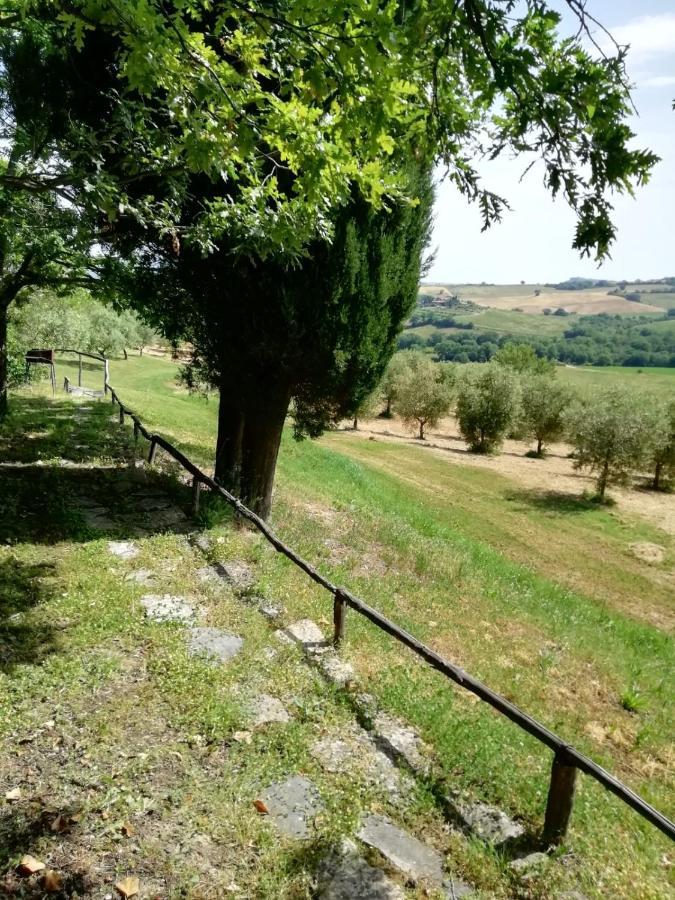 Agriturismo Podere Cherzo Cinigiano Ngoại thất bức ảnh