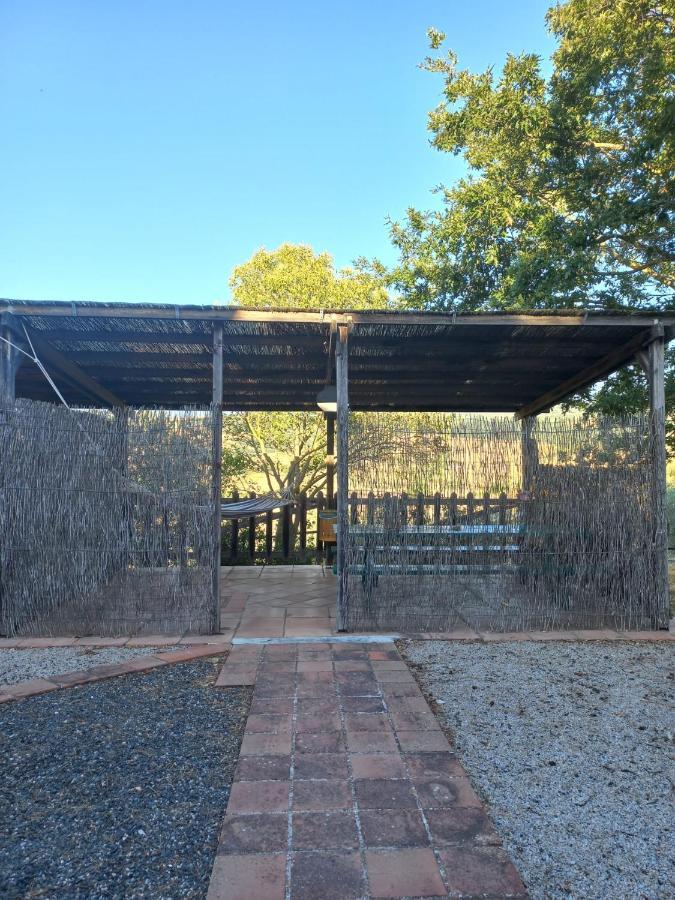 Agriturismo Podere Cherzo Cinigiano Ngoại thất bức ảnh
