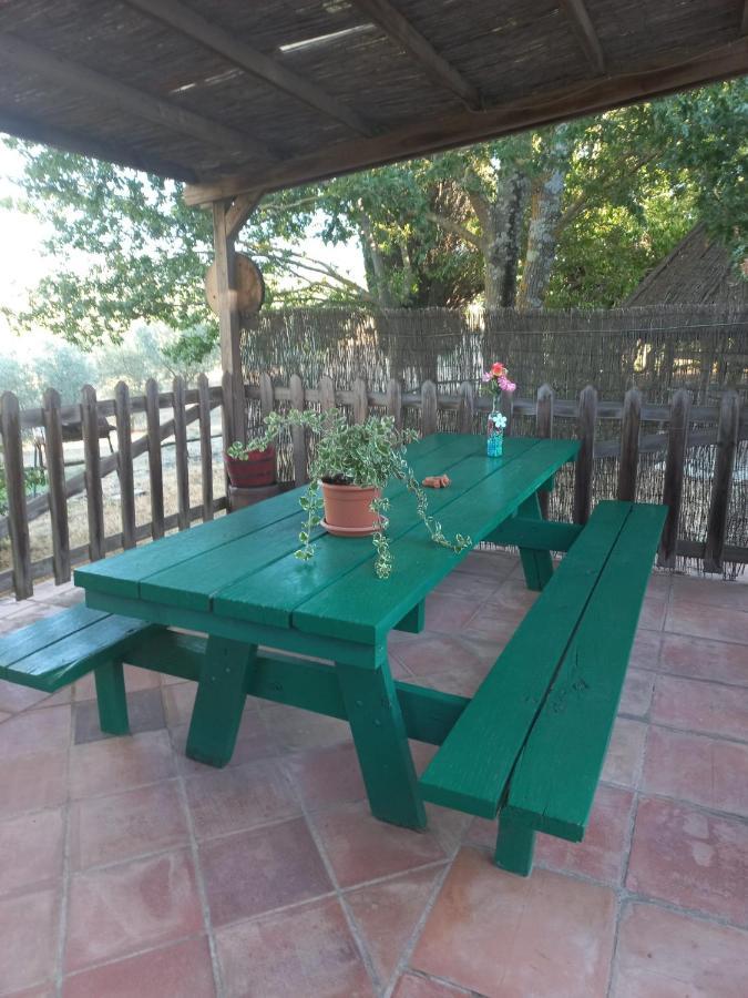 Agriturismo Podere Cherzo Cinigiano Ngoại thất bức ảnh