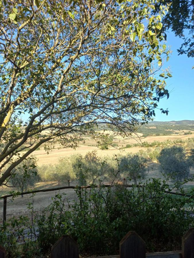 Agriturismo Podere Cherzo Cinigiano Ngoại thất bức ảnh