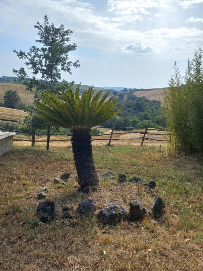 Agriturismo Podere Cherzo Cinigiano Ngoại thất bức ảnh