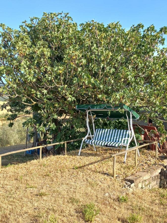 Agriturismo Podere Cherzo Cinigiano Ngoại thất bức ảnh