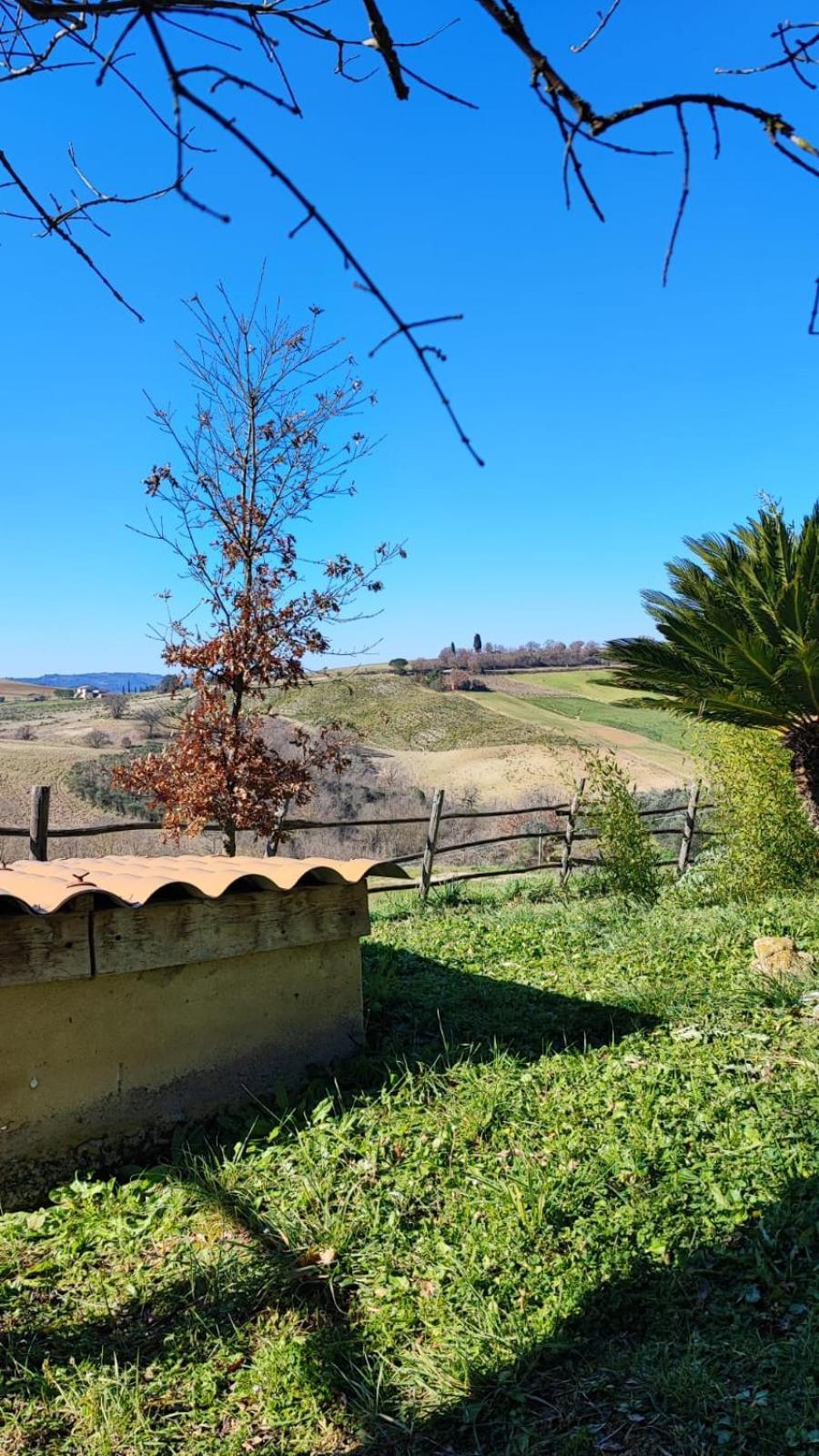 Agriturismo Podere Cherzo Cinigiano Ngoại thất bức ảnh